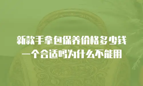 新款手拿包保养价格多少钱一个合适吗为什么不能用