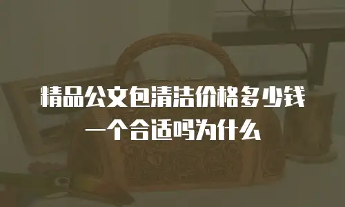 精品公文包清洁价格多少钱一个合适吗为什么