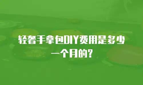 轻奢手拿包DIY费用是多少一个月的？