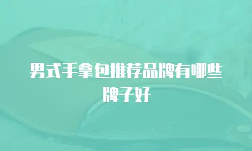 男式手拿包推荐品牌有哪些牌子好