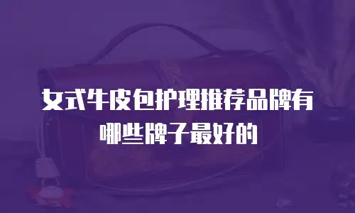 女式牛皮包护理推荐品牌有哪些牌子最好的