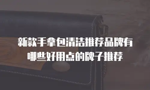 新款手拿包清洁推荐品牌有哪些好用点的牌子推荐