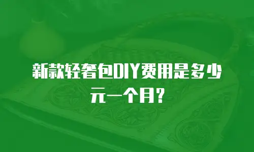 新款轻奢包DIY费用是多少元一个月？