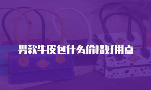 男款牛皮包什么价格好用点