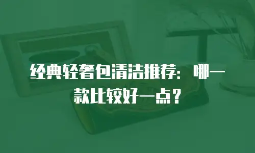 经典轻奢包清洁推荐：哪一款比较好一点？