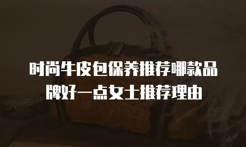 时尚牛皮包保养推荐哪款品牌好一点女士推荐理由