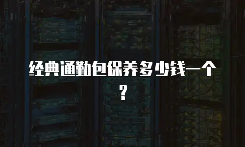 经典通勤包保养多少钱一个?
