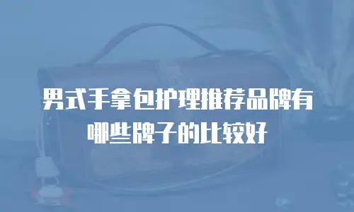 男式手拿包护理推荐品牌有哪些牌子的比较好