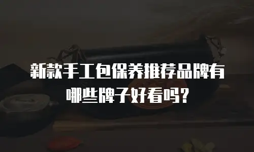 新款手工包保养推荐品牌有哪些牌子好看吗？