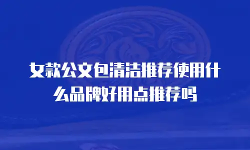 女款公文包清洁推荐使用什么品牌好用点推荐吗