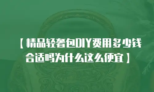 【精品轻奢包DIY费用多少钱合适吗为什么这么便宜】