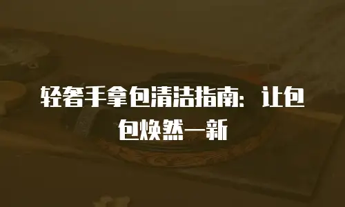 轻奢手拿包清洁指南：让包包焕然一新