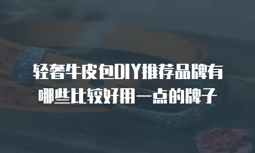 轻奢牛皮包DIY推荐品牌有哪些比较好用一点的牌子