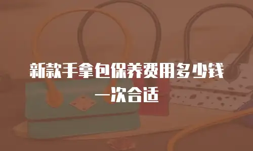 新款手拿包保养费用多少钱一次合适