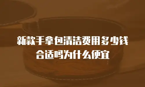 新款手拿包清洁费用多少钱合适吗为什么便宜