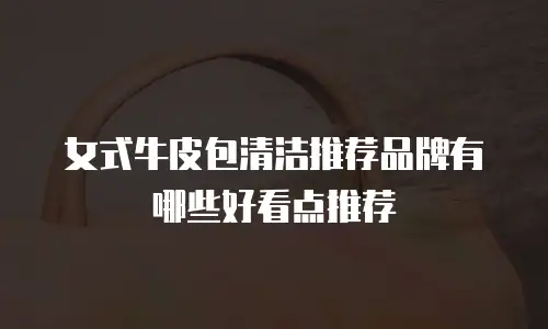女式牛皮包清洁推荐品牌有哪些好看点推荐