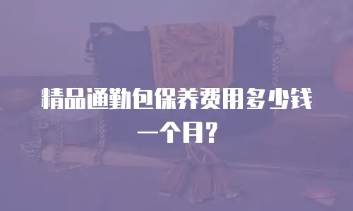 精品通勤包保养费用多少钱一个月？