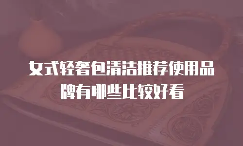 女式轻奢包清洁推荐使用品牌有哪些比较好看
