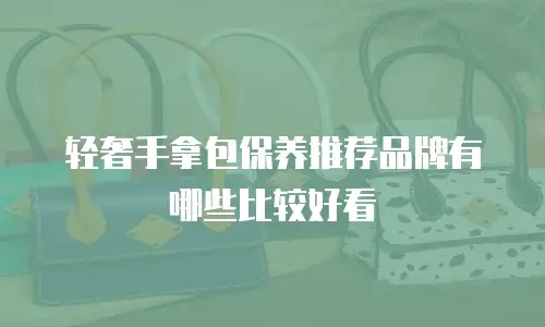 轻奢手拿包保养推荐品牌有哪些比较好看