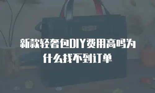 新款轻奢包DIY费用高吗为什么找不到订单