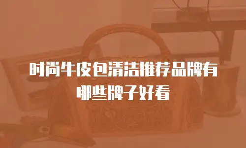时尚牛皮包清洁推荐品牌有哪些牌子好看