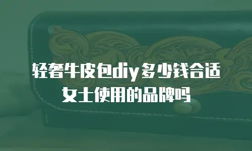 轻奢牛皮包diy多少钱合适女士使用的品牌吗