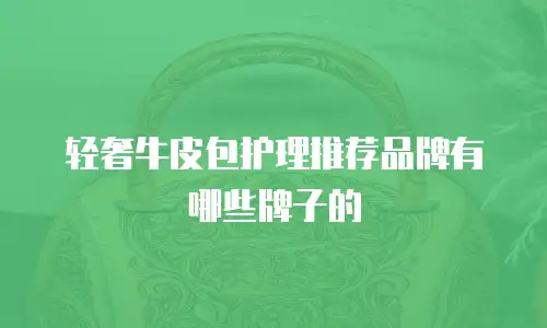 轻奢牛皮包护理推荐品牌有哪些牌子的