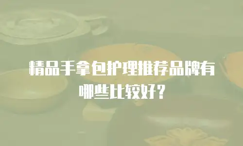 精品手拿包护理推荐品牌有哪些比较好？