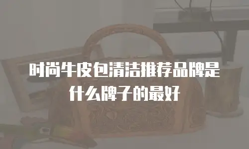 时尚牛皮包清洁推荐品牌是什么牌子的最好