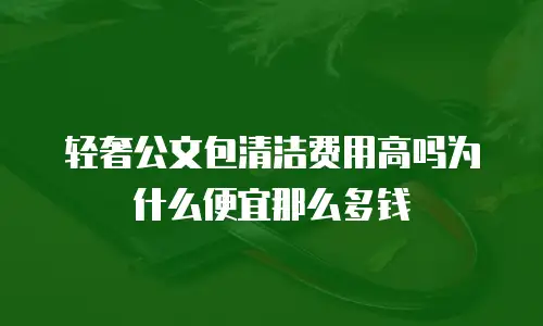 轻奢公文包清洁费用高吗为什么便宜那么多钱