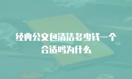经典公文包清洁多少钱一个合适吗为什么