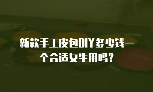 新款手工皮包DIY多少钱一个合适女生用吗？
