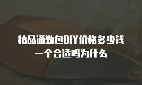 精品通勤包DIY价格多少钱一个合适吗为什么