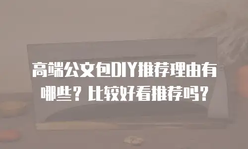 高端公文包DIY推荐理由有哪些？比较好看推荐吗？