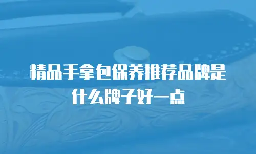 精品手拿包保养推荐品牌是什么牌子好一点