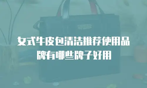 女式牛皮包清洁推荐使用品牌有哪些牌子好用