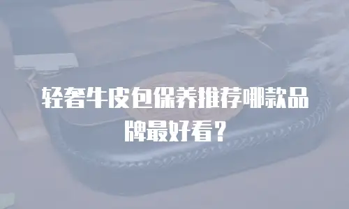 轻奢牛皮包保养推荐哪款品牌最好看？