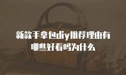 新款手拿包diy推荐理由有哪些好看吗为什么