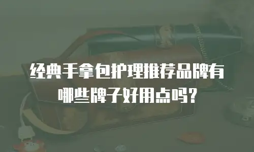 经典手拿包护理推荐品牌有哪些牌子好用点吗？