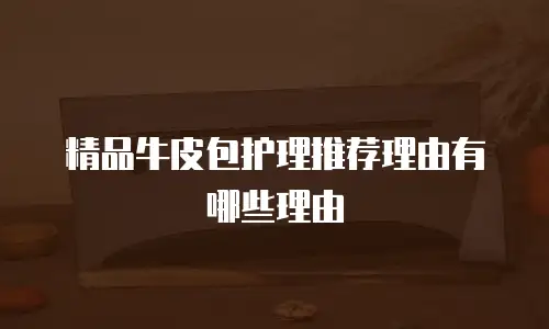 精品牛皮包护理推荐理由有哪些理由