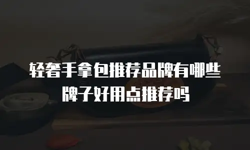 轻奢手拿包推荐品牌有哪些牌子好用点推荐吗