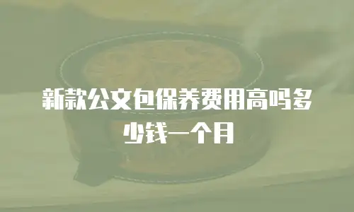 新款公文包保养费用高吗多少钱一个月