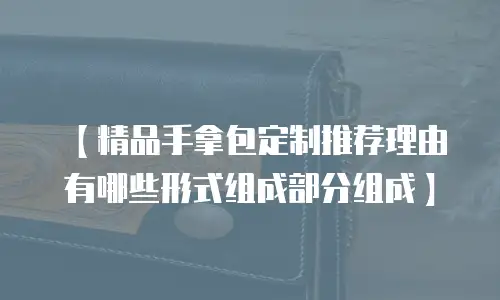 【精品手拿包定制推荐理由有哪些形式组成部分组成】