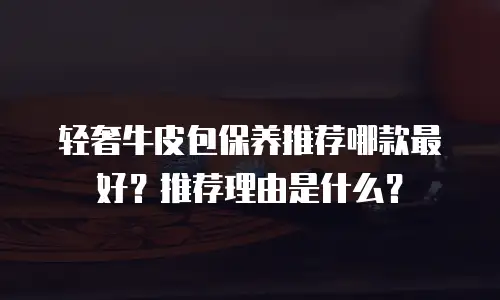 轻奢牛皮包保养推荐哪款最好？推荐理由是什么？