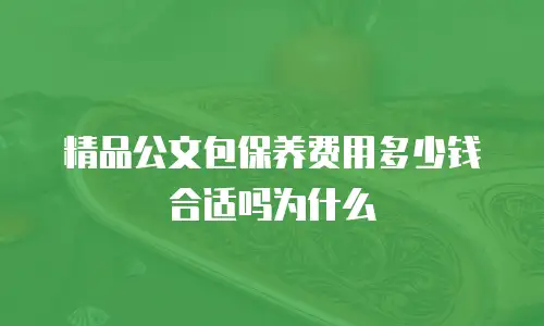 精品公文包保养费用多少钱合适吗为什么