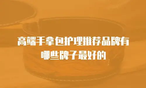 高端手拿包护理推荐品牌有哪些牌子最好的