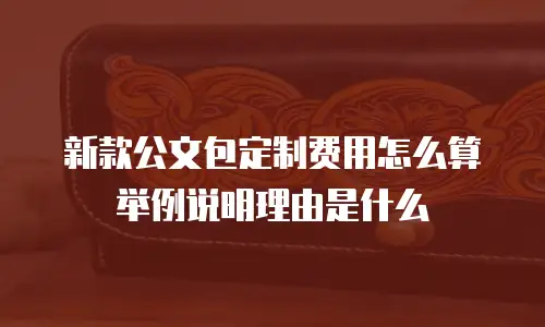新款公文包定制费用怎么算举例说明理由是什么