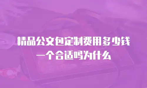 精品公文包定制费用多少钱一个合适吗为什么