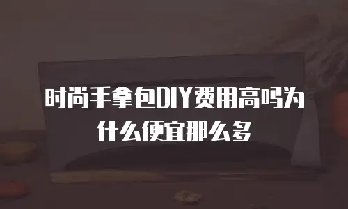 时尚手拿包DIY费用高吗为什么便宜那么多