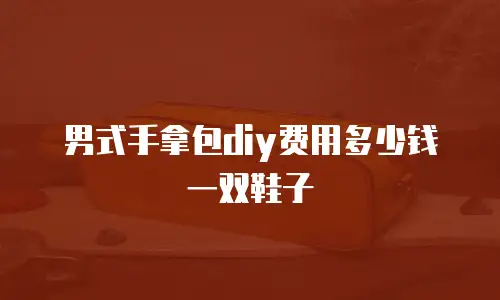 男式手拿包diy费用多少钱一双鞋子